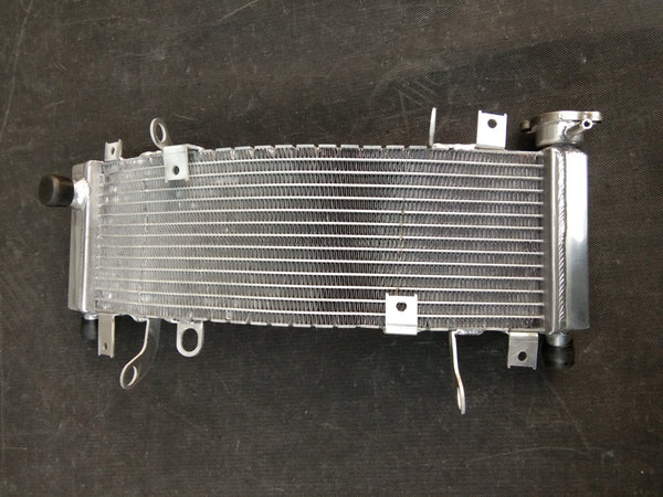 GPI Aluminum Radiator For  1998-2003 SUZUKI TL1000R TL1000  1998 1999 2000 2001 2002 2003