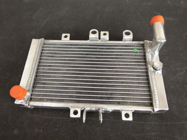 GPI Aluminum alloy Radiator FOR 1988-1991 Honda NT650 Hawk GT NT 650  1991 1989