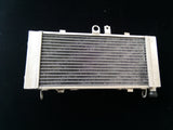 GPI Aluminum radiator & fan FOR 2002-2007 Honda CB900F 919 Hornet 900  2003 2004 2005 2006