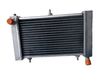 GPI Aluminum radiator For 1995-2010 Aprilia RS125 RS 125  Tuono 125 PY RD SF MP 1996 1997 1998 1999 2000 2001 2002 2003 2004 2005 2006 2007 2008 2009