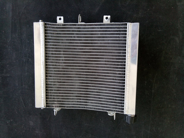 GPI  Aluminum Radiator For 950SM 950 SM SuperMoto LC8 LC8SM 05-06 & 950 Super R 06-09